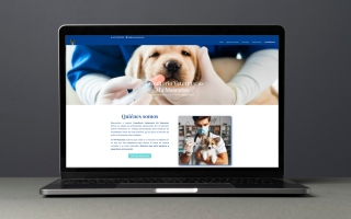 m4mascotas m4mascotas